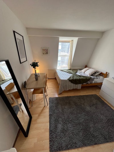 Beautiful master bedroom-share w 1 girl-3m Holborn Main Photo
