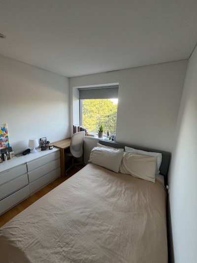 Bright Double Room - Paddington - Mid October Main Photo