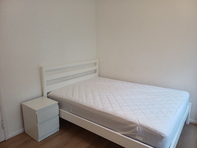 Double room with private toilet Main Photo