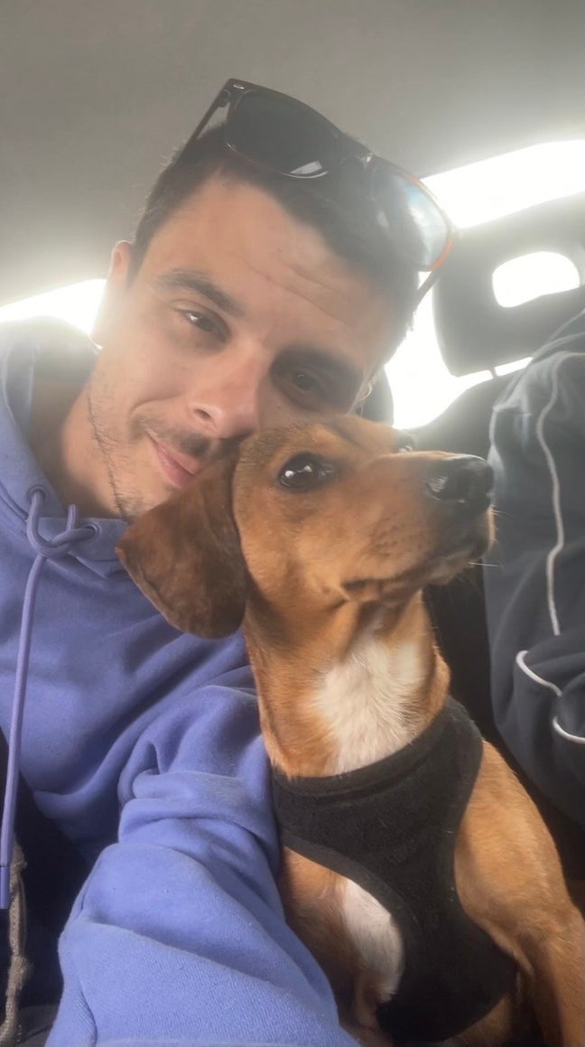 Couple+ small dog looking for friendly London home Main Photo
