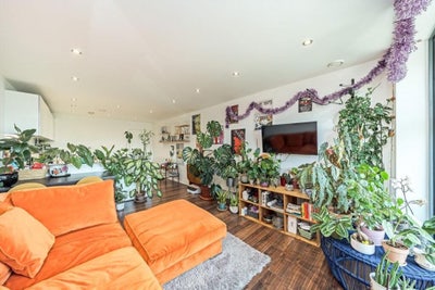 Large double room in sunny zone 2 flat Main Photo