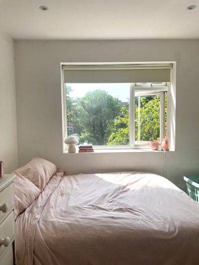 Double room in 3 bed flat near Brockwell Park  Main Photo