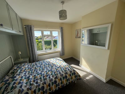 Rooms available in 3 bed house near HPC  Main Photo