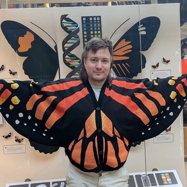Guy dressed as butterfly seeks house, respect Main Photo