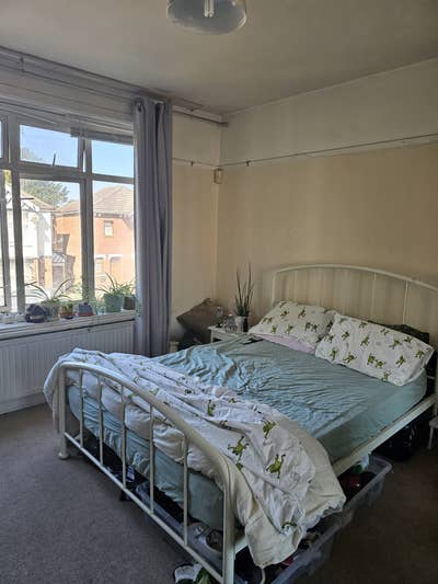 Room Available in Polygon Main Photo