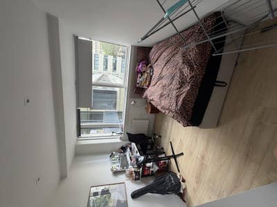 Newly Furbished Stunning Apartment  Main Photo