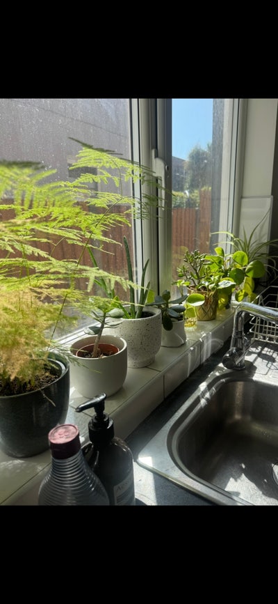 2 Rooms Available in Harringay House With Garden Main Photo