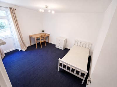Spacious Double Room with Garden Access Main Photo