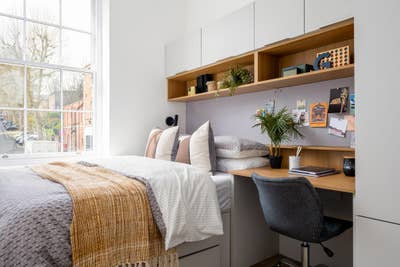 Beautiful 3 Bedroom Apartment on Park Street Main Photo