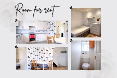 Double Room Available in Roehampton | 197FD Main Photo