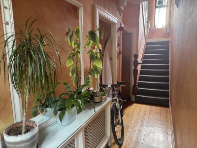 Spacious double room in lovely house  Main Photo