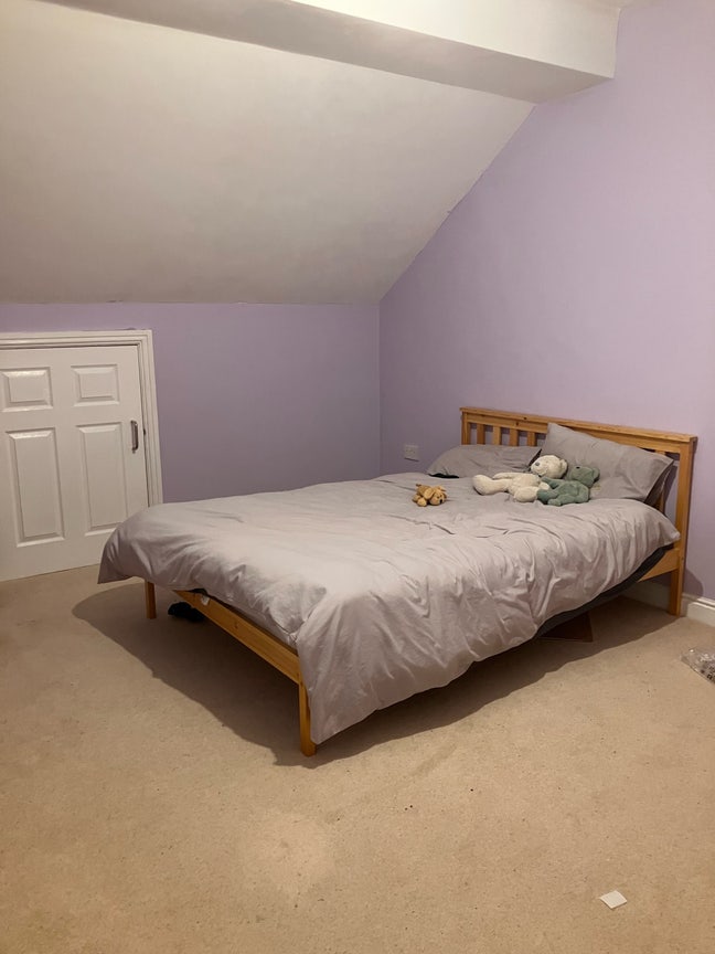 Female flatmate required Main Photo
