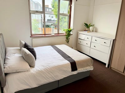 🛏️ Simple Room to Let -4 Min Walk to Central Line Main Photo