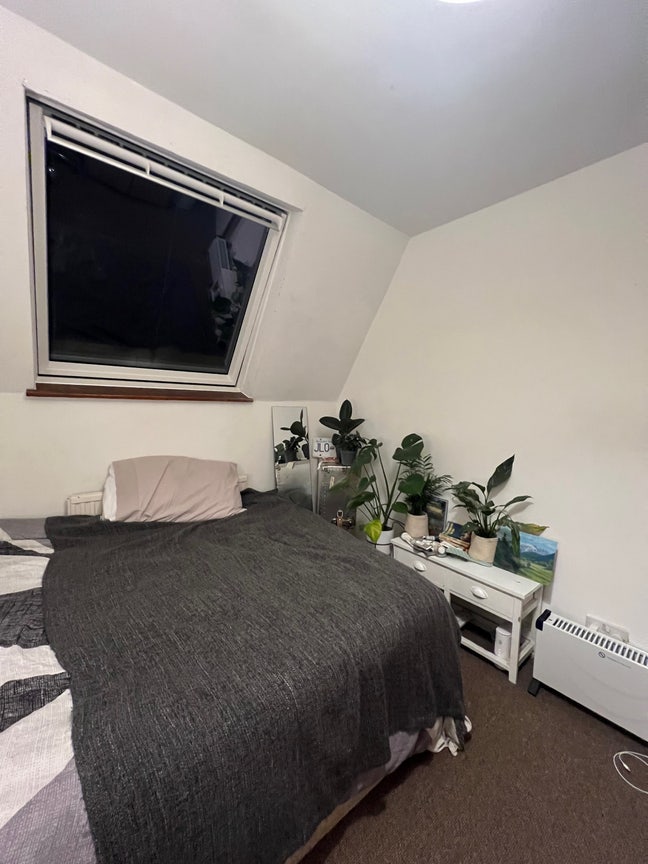 Single Room in Camden Town Main Photo