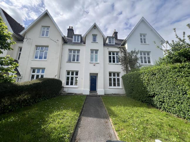 Delightful room in Newton Abbot  Main Photo