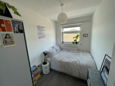 Small double room next in E1 till early Feb Main Photo