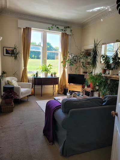 Friendly and relaxed person wanted for Flathsare Main Photo