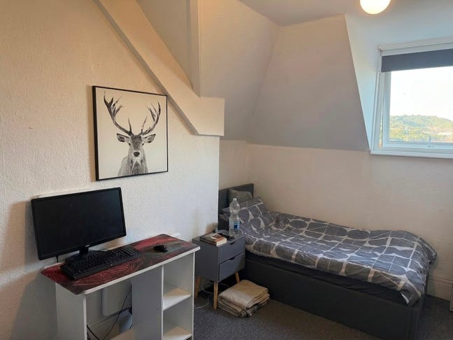 Modern furnished room with kitchenette  Main Photo