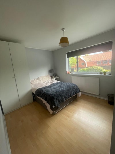 Room for Rent on Burton Road  Main Photo