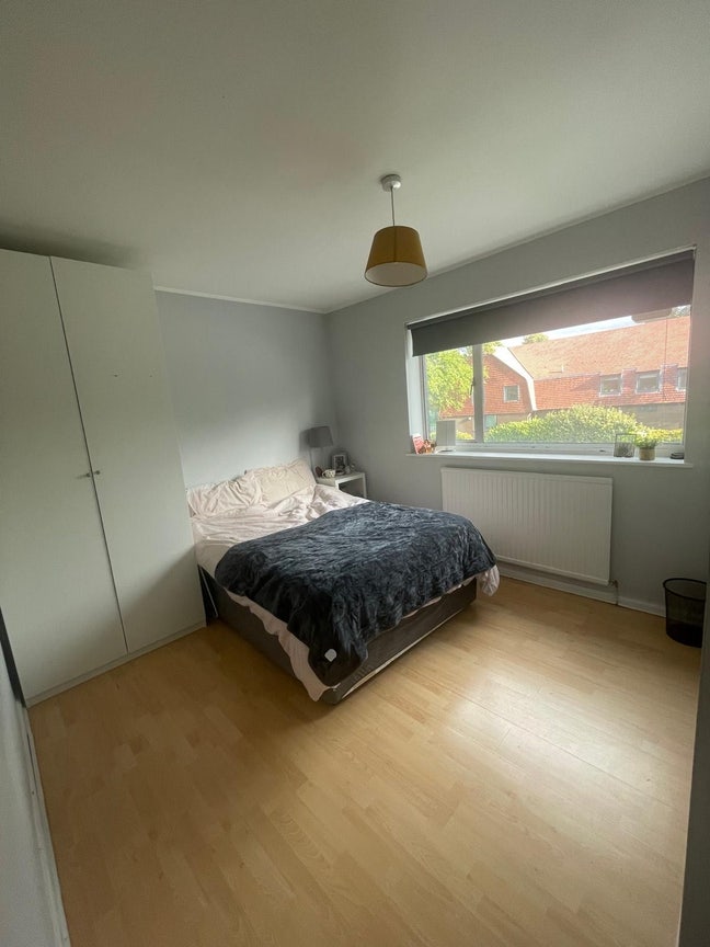 Room for Rent on Burton Road  Main Photo