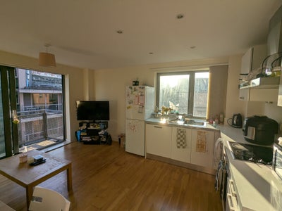 Ensuite double room in Sheffield City Centre  Main Photo