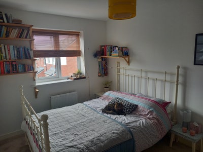 Friendly, modern, professional home with cats 🐈 Main Photo