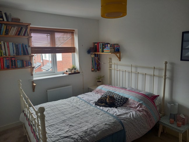 Friendly, modern, professional home with cats 🐈 Main Photo