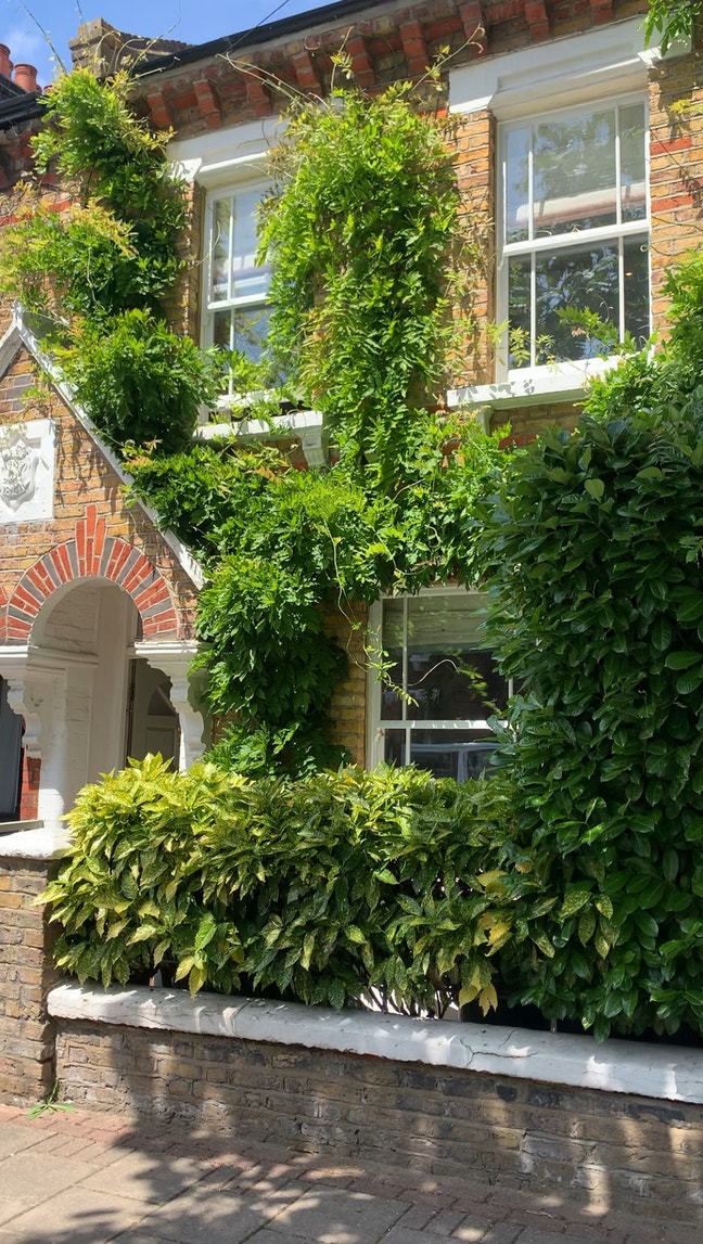 Sunny double in gorgeous house. Clapham/Battersea Main Photo