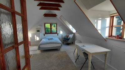 Furnished studio with large garden & Thames access Main Photo