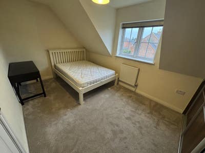 Spacious Room Available for Single Occupancy  Main Photo