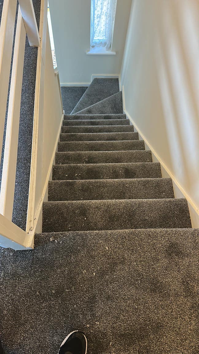 4 bed room house for rent Main Photo