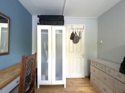 Lovely Single Room in Belsize Park Main Photo