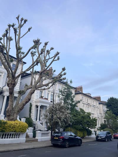 Bright double room in stylish Belsize Park Apt Main Photo