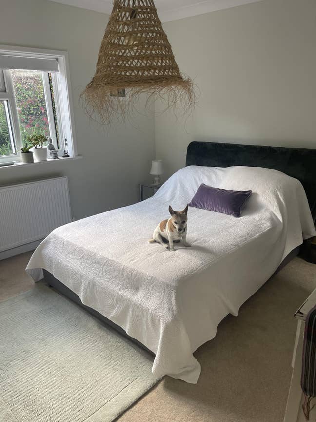 Double room w ensuite in Fairlight Main Photo