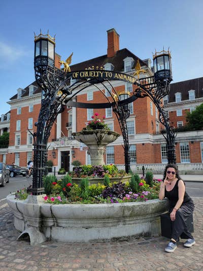 Professional Female seeks a single or double room Main Photo