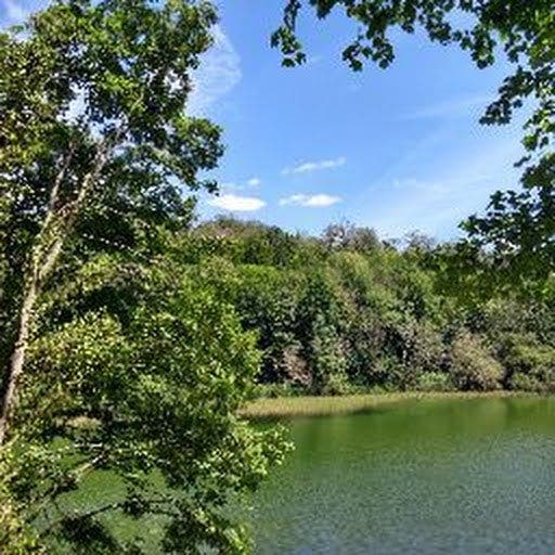 Professional Female seeks a single or double room Main Photo