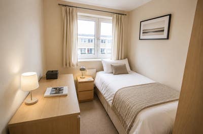 Great room in clean friendly flat  Main Photo