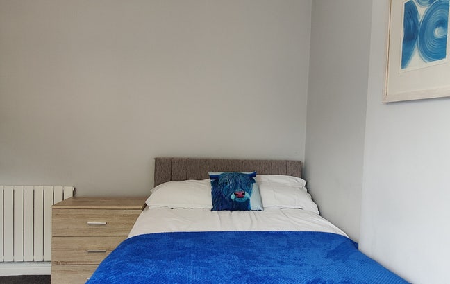Double room in friendly professional household Main Photo