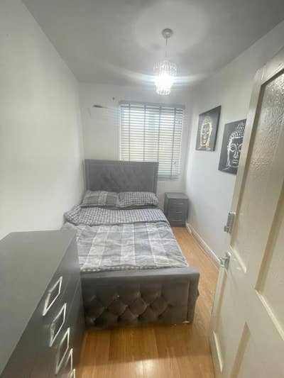 Large Single –Reduced Rent for Live-In Housekeeper Main Photo