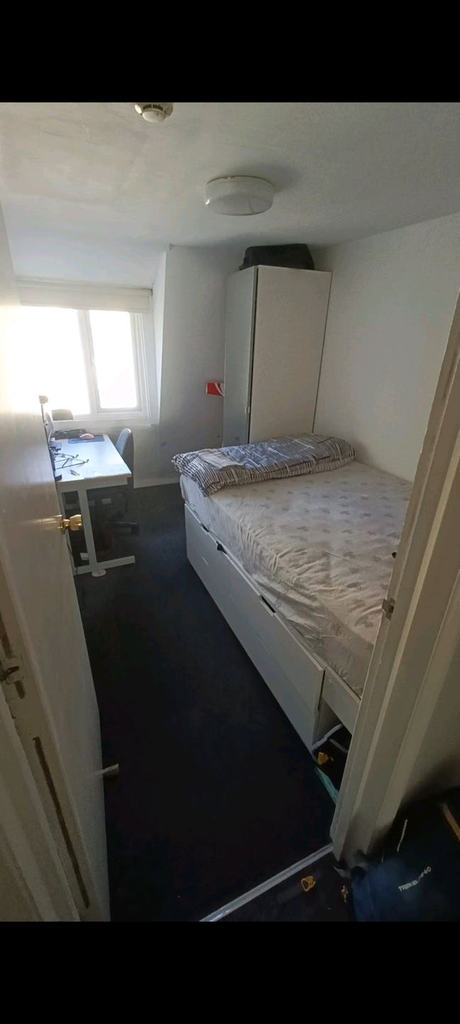 Room available Bristol, opposite Wills memorial  Main Photo