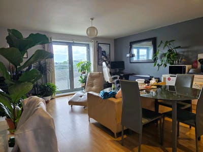 Double Room, Tyne Views & Far Too Many Plants 🌿 Main Photo