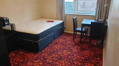Double room (bedsit type) carpet has been replaced Main Photo