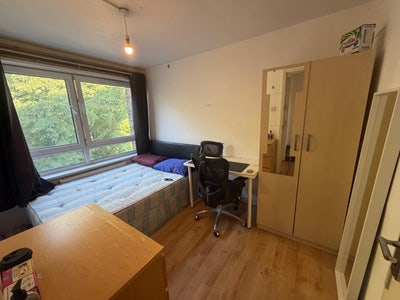 Bright Modern DBL Room - 5 min to Mile End 🚂 Main Photo
