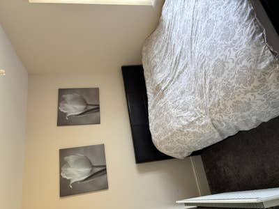 Room for Rent Main Photo