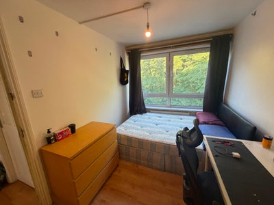 Double room+inc all bills@ Mile End Main Photo