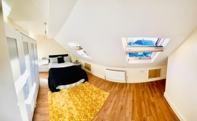 🛏️ ✨ Studio Flat to Let in Neasden Main Photo