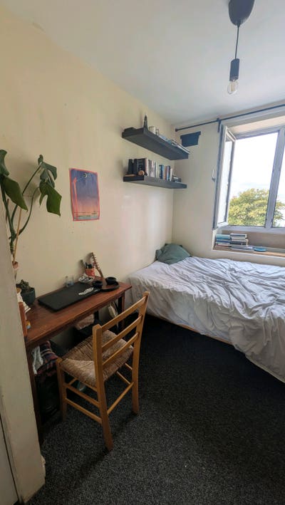 Cozy room in Hackney central  Main Photo