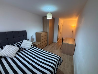 🔆 2 x lovely doubles, garden Clapham Junction 🔆  Main Photo