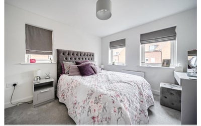 Clean Female Lodger – Double Room in Rooksdown Main Photo