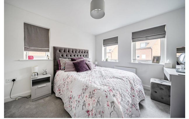 Clean Female Lodger – Double Room in Rooksdown Main Photo